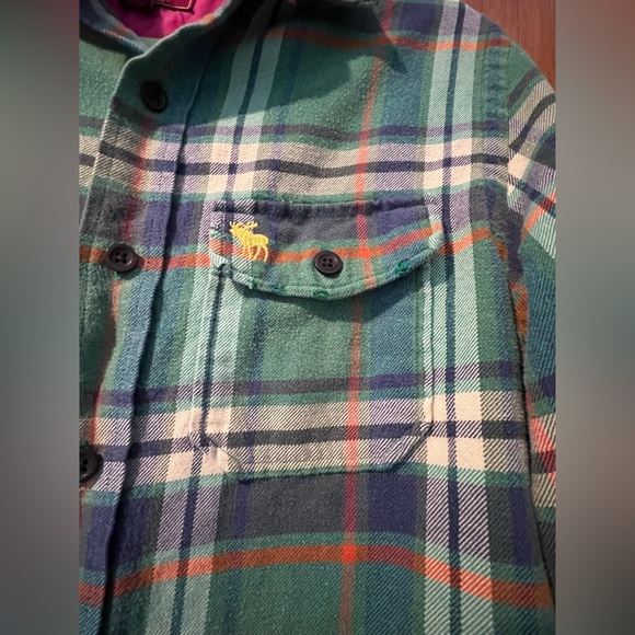 Abercrombie & Fitch Plaid Flannel Button Up ASO on Jessica Simpson - Picture 5 of 16